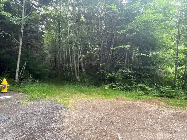 310 W Thunderbird Drive, Elma, WA 98541