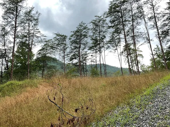 675 Big Creek Rd, Otto, NC 28763