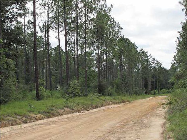 2nd image of Three Plantation Rd