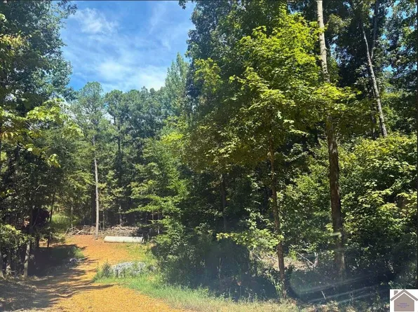 1802 Bryant Rd, Benton, KY 42025