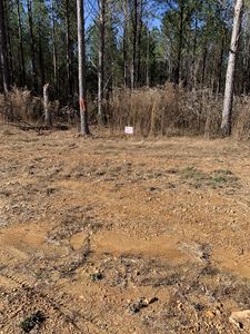 230 Fernwood Dr, Hohenwald, TN, 38462
