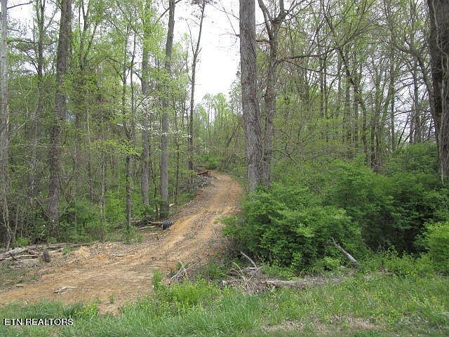 2nd image of LOT 10 McBee Mill Rd