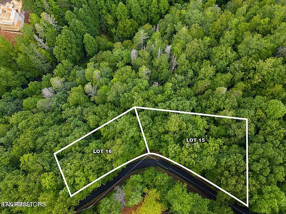 4th image of Black Gum Gap Rd