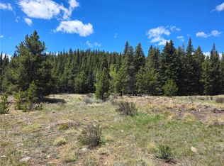 PCS#10594 Looney Lane, Alma, CO 80420