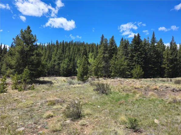 PCS#10594 Looney Lane, Alma, CO 80420
