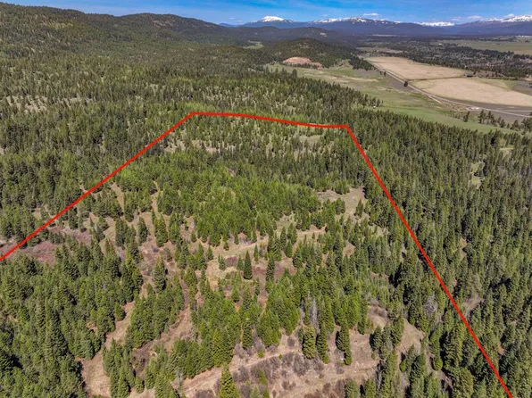 5 Old Council Rd, McCall, ID 83638