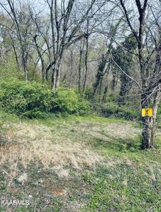 Andes Rd, Knoxville, TN, 37914