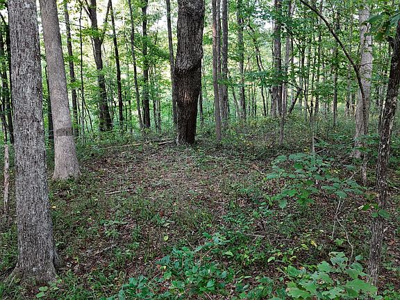 3rd image of LOT 11 Poston Pl