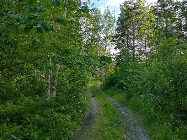 628 S Meadow Rd, Perry, ME 04667