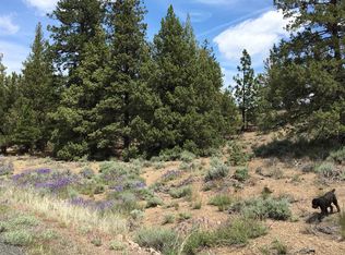 Mount Blanch Drive Hilt Rd #B, Weed, CA 96094