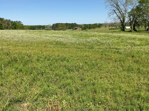 1850 Lee St, Rutledge, AL 36071