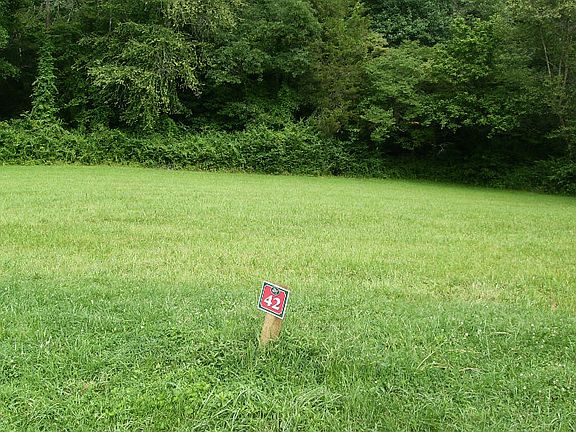 2nd image of LOT 42 Brasstown Trails ,