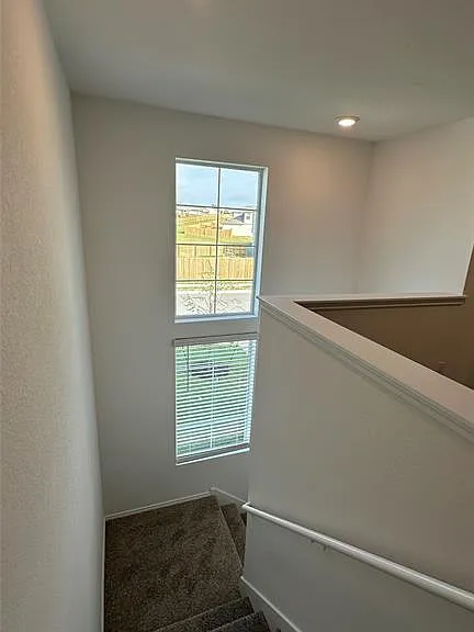 204 Inks Ln — Photo 19