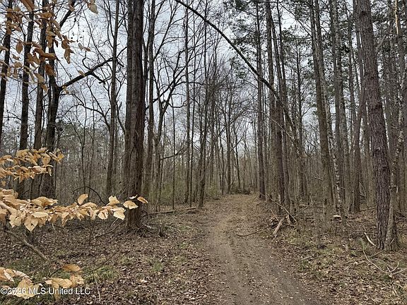 5th image of 157 Eulogy Rd