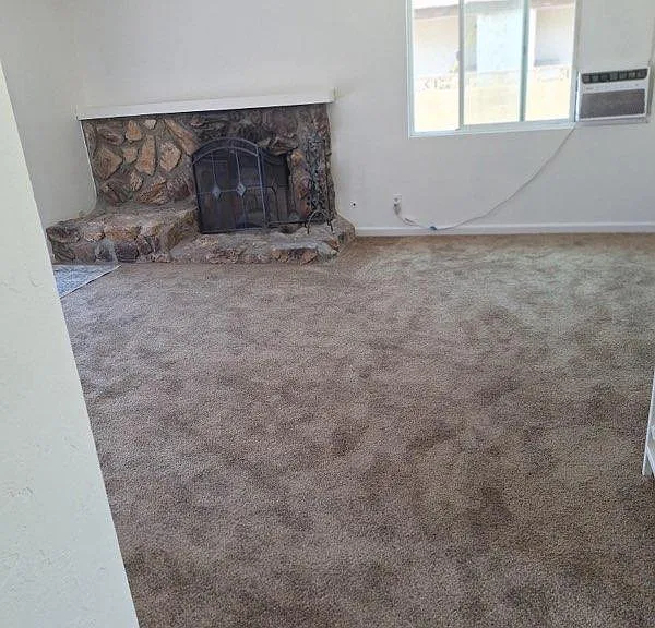 858 Ashfield Ave — Photo 5