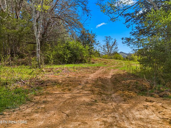5th image of Bogard Rd