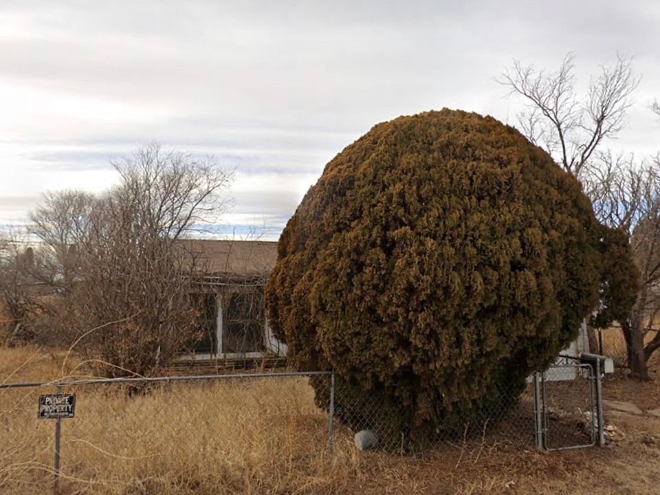 1st image of 505 Avenue C