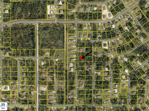 2945 Tishman Rd SE, Palm Bay, FL 32909
