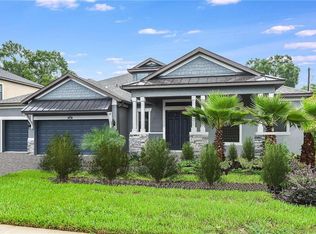 13601 Liana Rose Way, Tampa, FL 33618