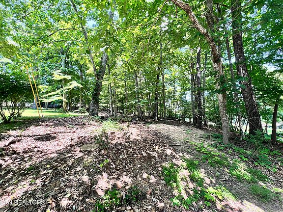 5th image of 16 Killearn Ct