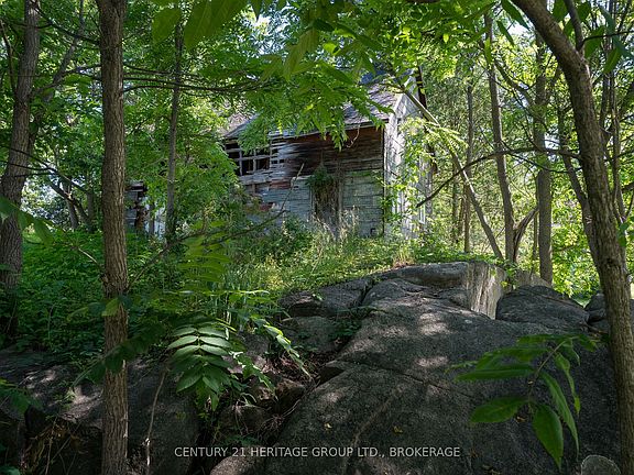 5th image of 102 Ormond St