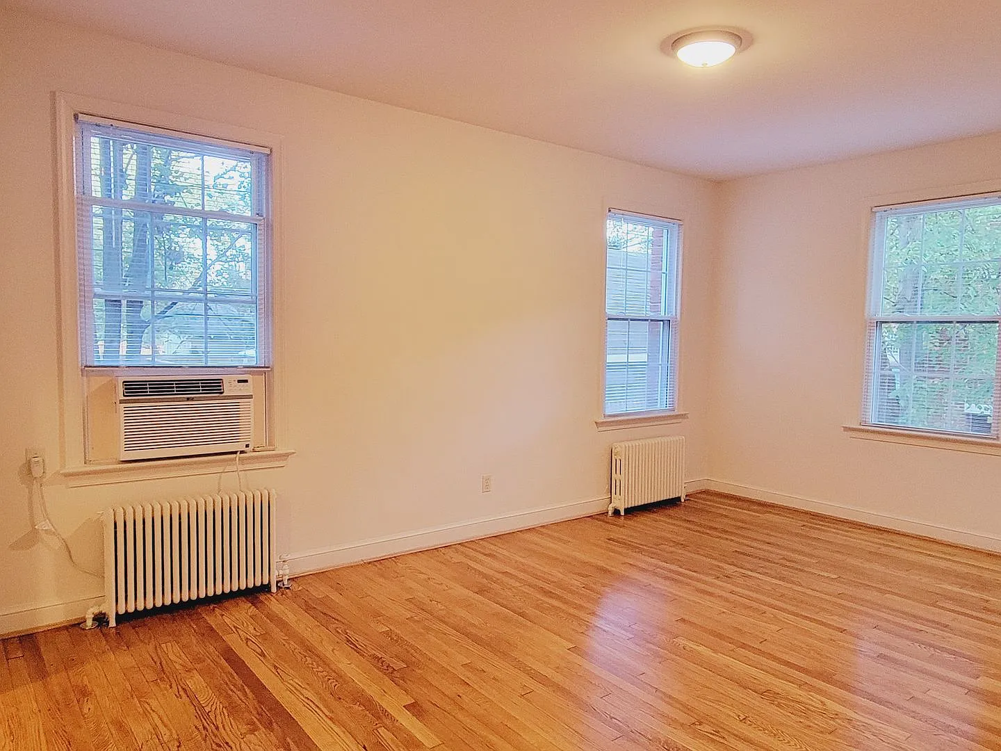Luray Apartments — Photo 3