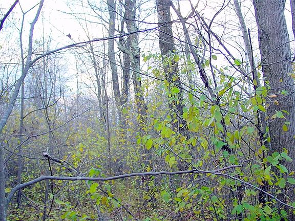 4th image of 40 acres, Daley Road