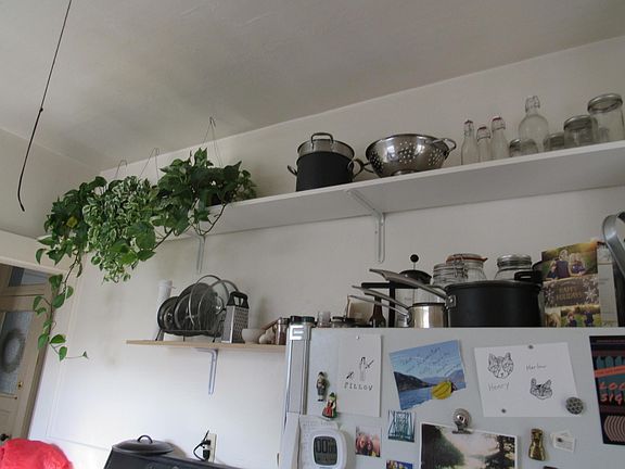 Kitchen shelves