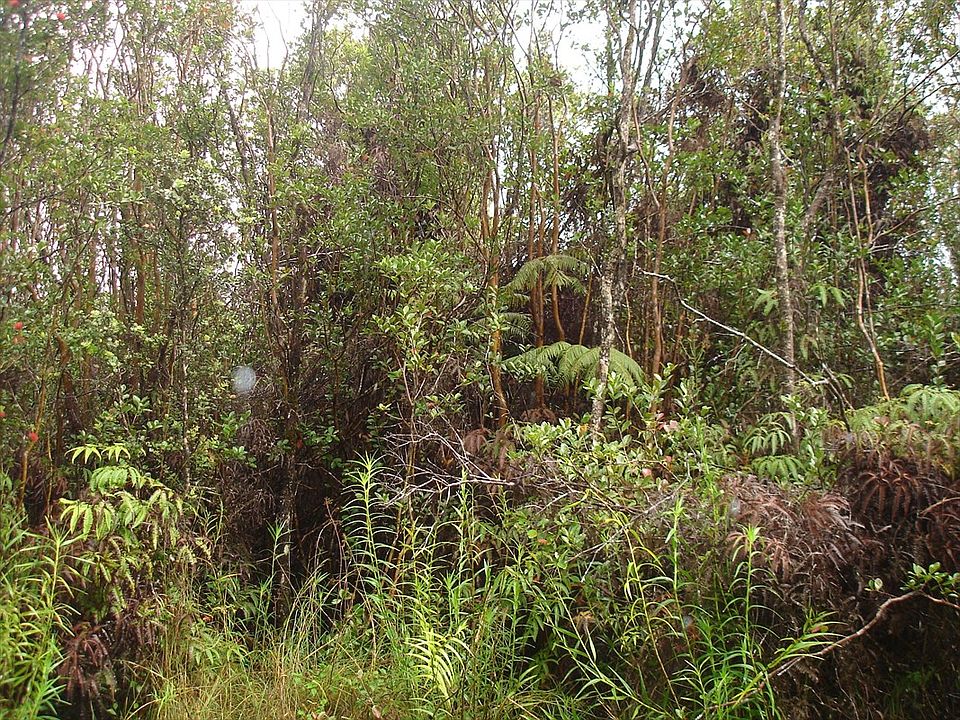 2nd image of Omeka Lot 16