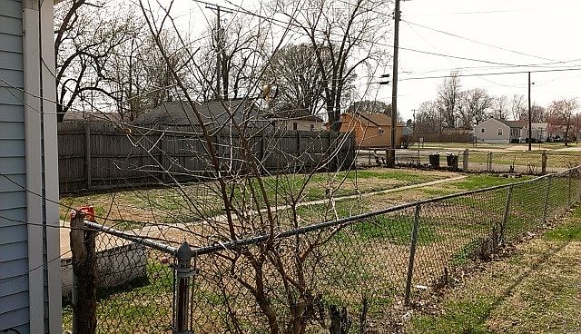 back yard