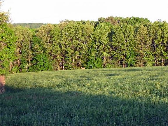pasture/hayfield