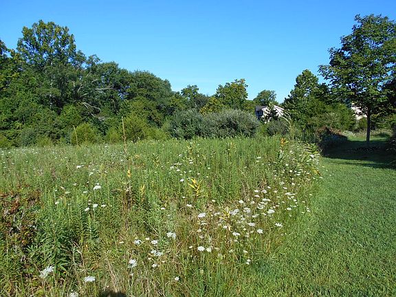 2nd image of 41069 Hickory Shade Ln