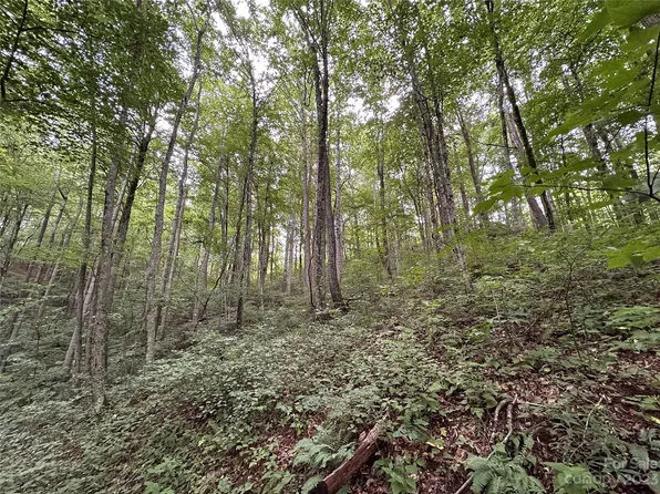 99999 Little Bee Ln, Swannanoa, NC 28778