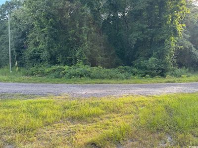 TBD Griffins Landing Rd., Nichols, SC, 29581
