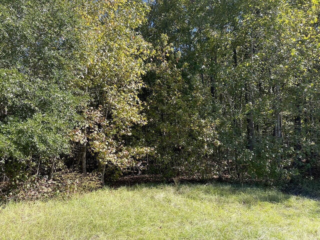 0 Carolina Hwy, Olar, SC 29843 MLS 23014538 Zillow