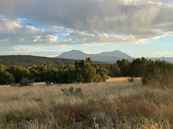 L3 B5 Tres Amigos Trl, Walsenburg, CO 81089