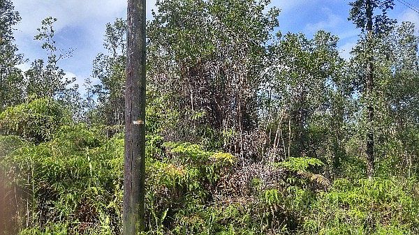 2nd image of Road 3 Hopue Lot 3110