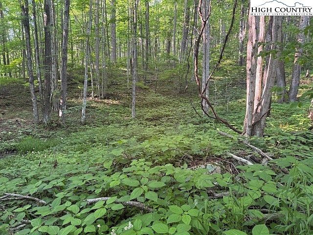 2nd image of Lot 59 Beechwood Circle