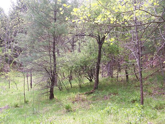 5th image of #1 Pine Mountain Road #Dixie Road