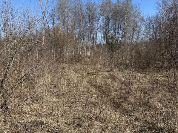 Jackson Rd, Cass City, MI 48726