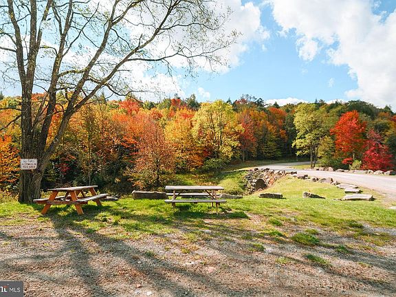 5th image of 233 Rhododendron Dr