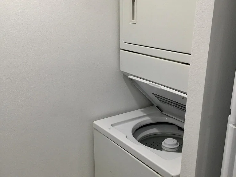Washer and Dryer in Unit