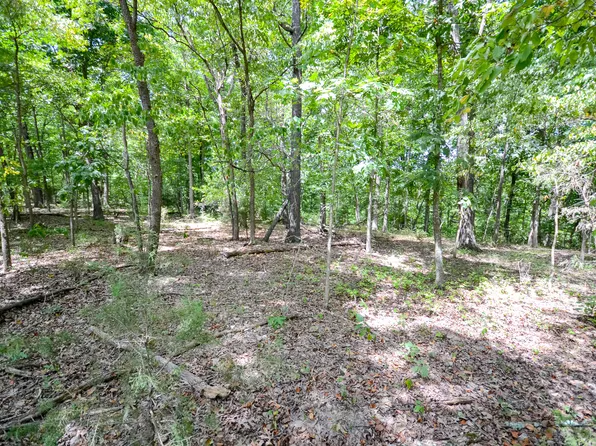 000 Coyote Ridge Road Lot 20, Cassville, MO 65625