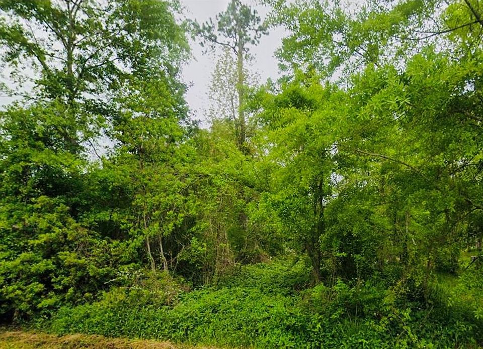 1st image of LOT 68 Magnolia Ct
