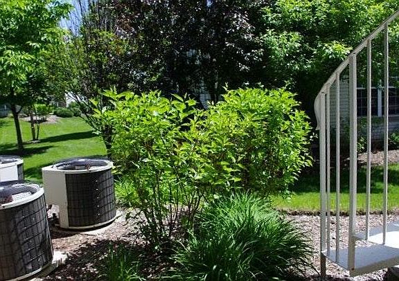 Summer view out back door