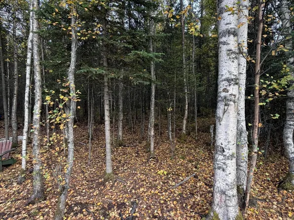 6801 W Opal Ct, Wasilla, AK 99623