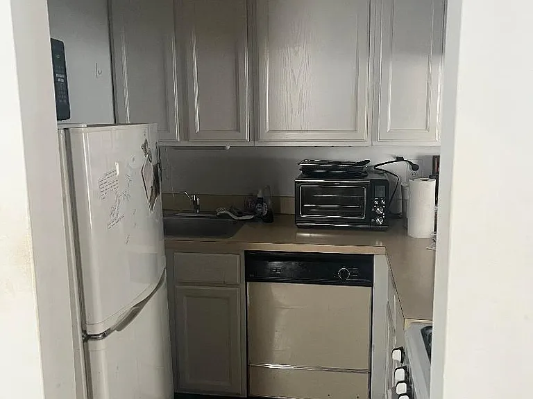 2438 N Clark St #3F — Photo 9