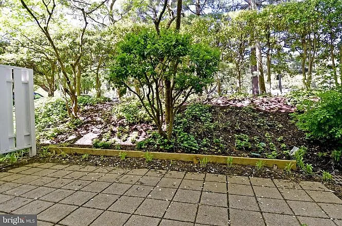 54 G St SW #B — Photo 4