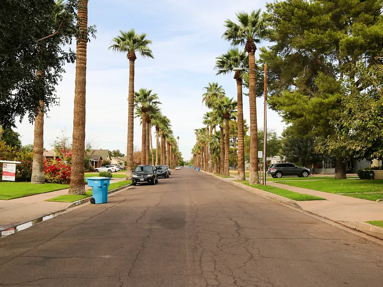 tree-lined street in historic neighborhood