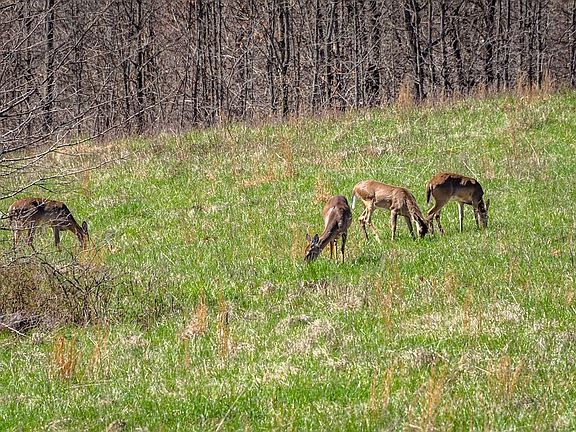 38th image of this home